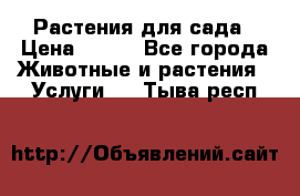 Растения для сада › Цена ­ 200 - Все города Животные и растения » Услуги   . Тыва респ.